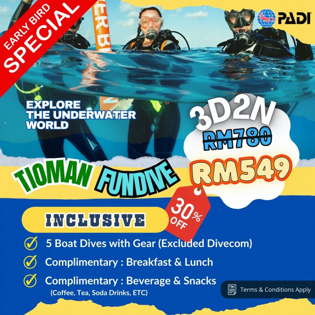 early bird - fun dive