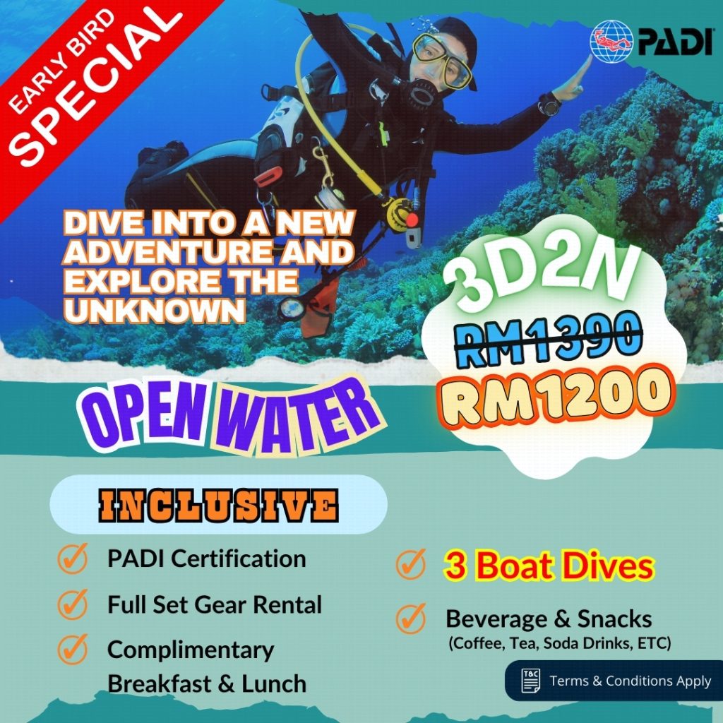 early bird - open water