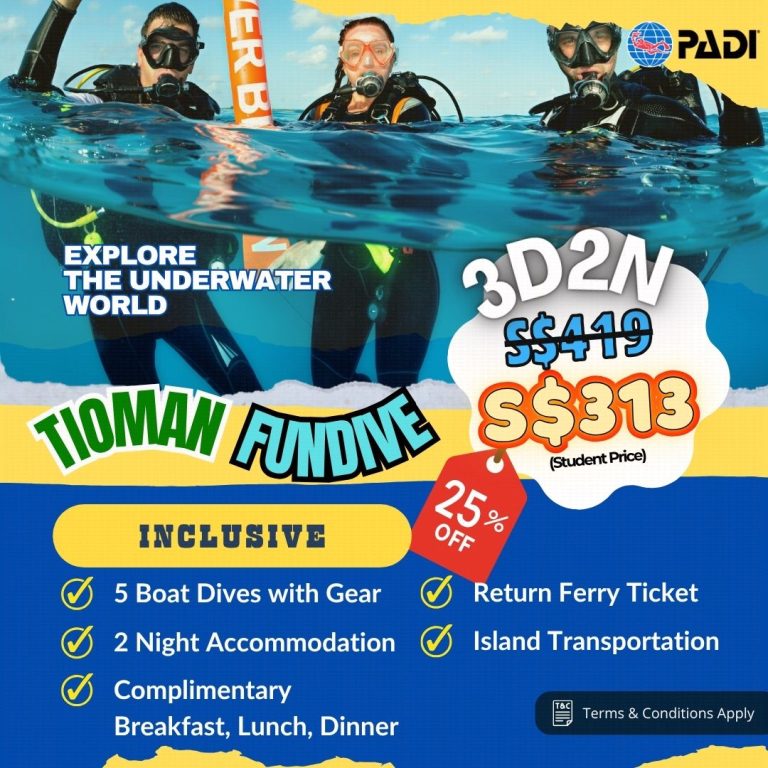 student promo fundive